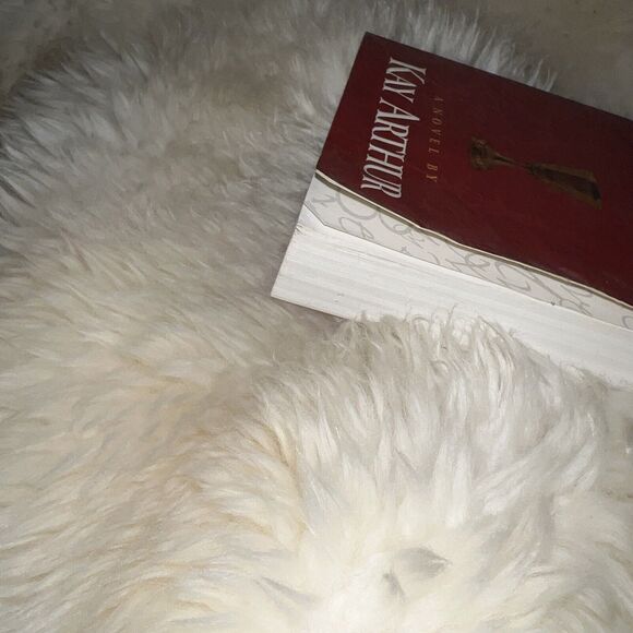 Israel My Beloved A Novel by Kay Arthur Paperback To The World Just A Jew RED - Picture 5 of 12